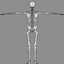 Skeleton Lowpoly