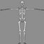 Skeleton Lowpoly