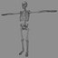 Skeleton Lowpoly