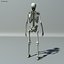Skeleton Lowpoly