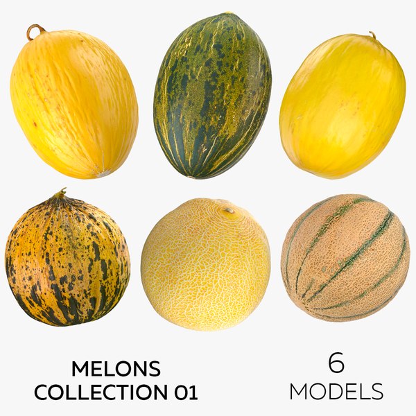 Melons Collection 01 - 6 models 3D model