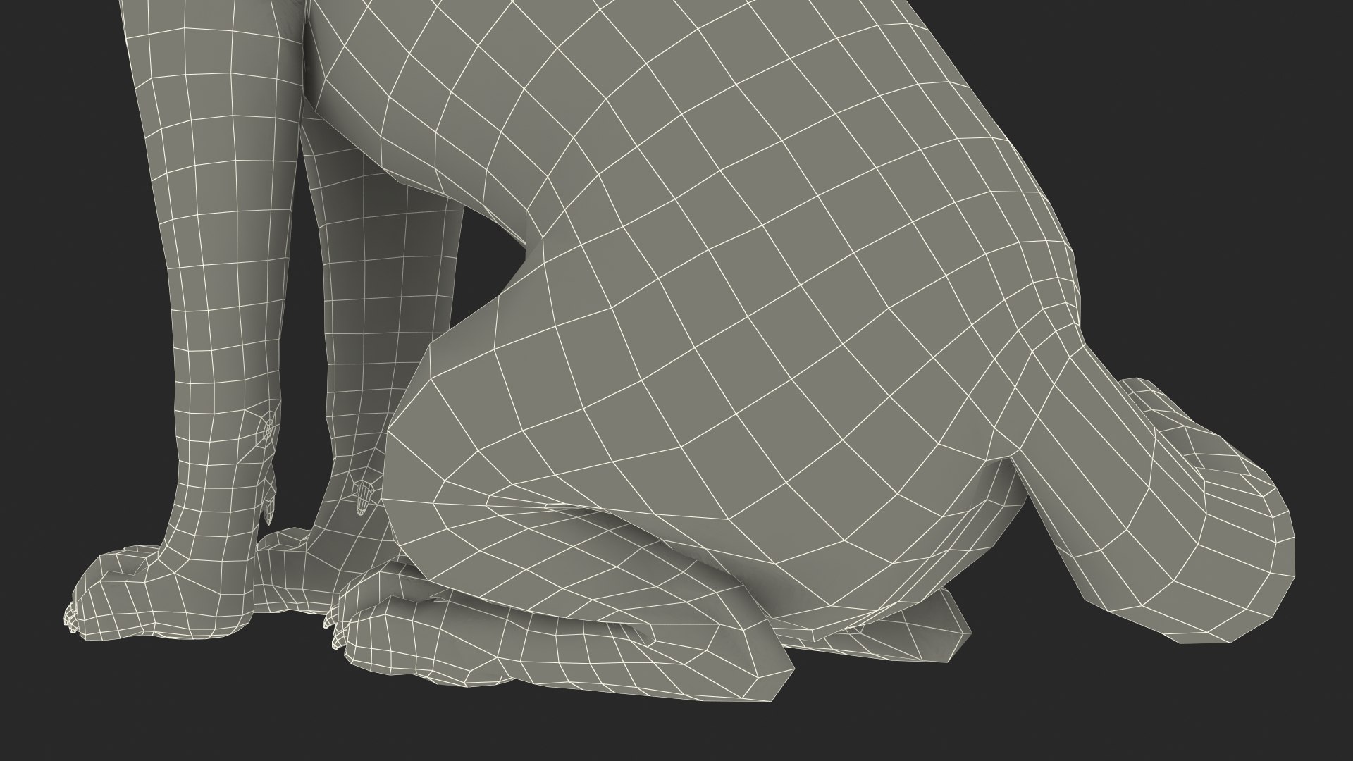 Sitting Husky Dog Black and White 3D https://p.turbosquid.com/ts-thumb/B1/ZM9sAP/Ce/sittinghuskydogblackandwhitec4dmodel034/jpg/1634868566/1920x1080/fit_q87/3cb760df459810bdf2667978477ff03d440d19f4/sittinghuskydogblackandwhitec4dmodel034.jpg