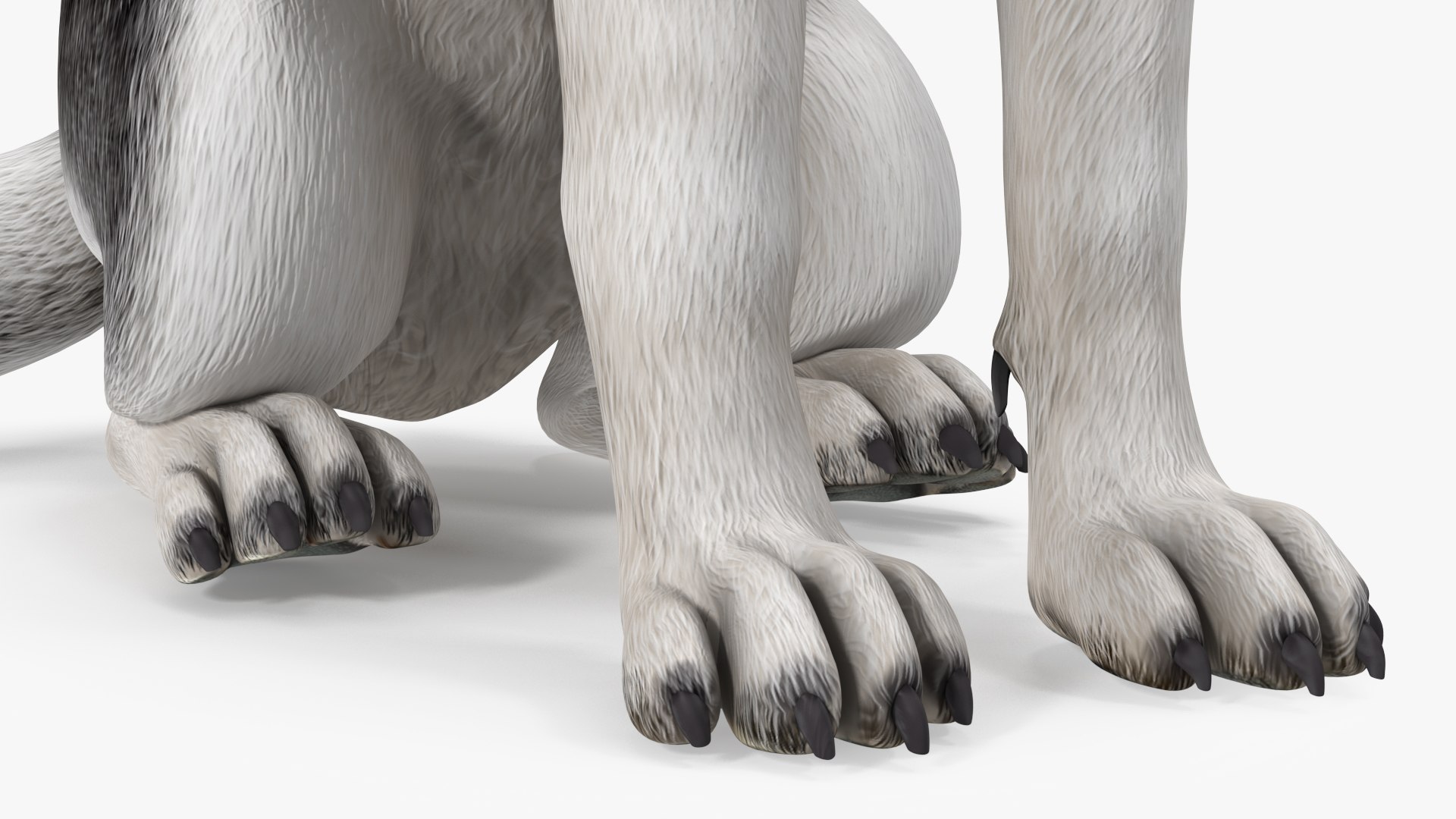 Sitting Husky Dog Black and White 3D https://p.turbosquid.com/ts-thumb/B1/ZM9sAP/fb/sittinghuskydogblackandwhitec4dmodel013/jpg/1634868508/1920x1080/fit_q87/b65c4acb9dbfe2598cc099f434b52308950bde12/sittinghuskydogblackandwhitec4dmodel013.jpg