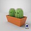 Jouet Cactus Deux