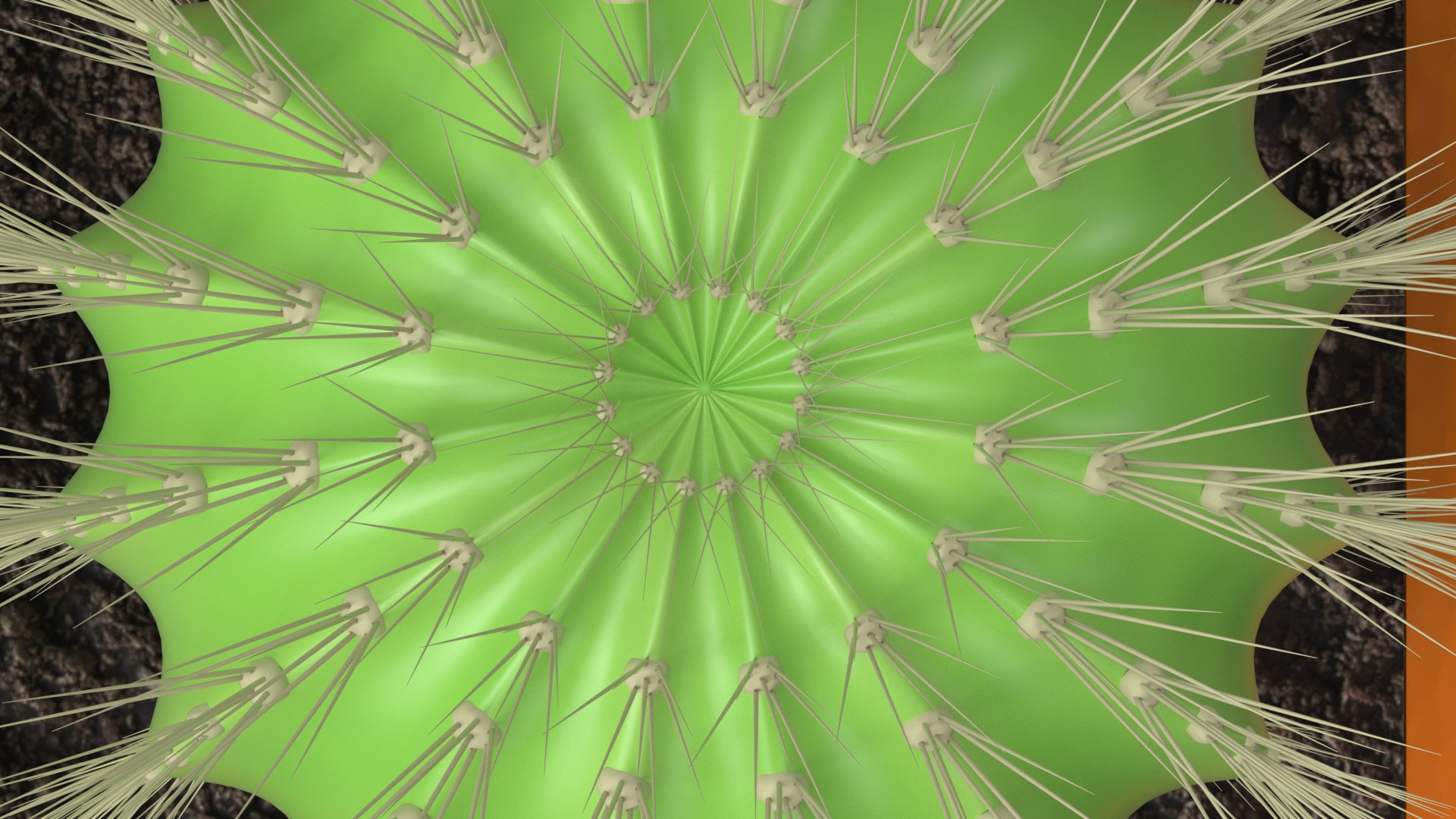 toy cactus 3D https://p.turbosquid.com/ts-thumb/B1/cPXyWt/hGO4qXG8/image_05/png/1597617183/1920x1080/fit_q87/b1020f052ca884852b0a697902592cb5a0464b99/image_05.jpg