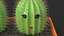 Jouet Cactus Deux