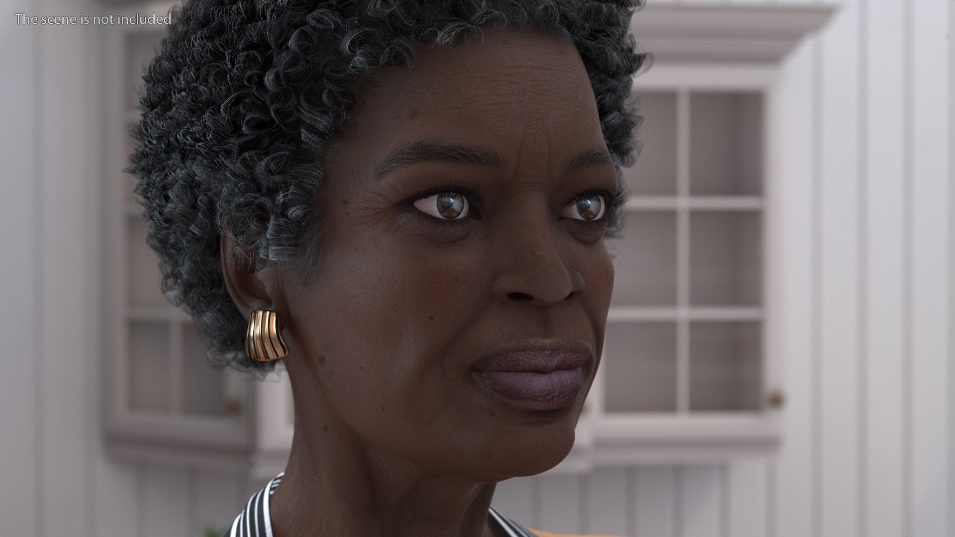 Afro American Woman Kitchen Style Rigged for Modo 3D https://p.turbosquid.com/ts-thumb/B1/dQ8ePx/7a/afroamericanwomankitchenstyleriggedformodomb3dmodel008/jpg/1674762520/1920x1080/fit_q87/b6d402818727c1b1591070d82cedd5153441d38e/afroamericanwomankitchenstyleriggedformodomb3dmodel008.jpg