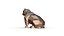 American Bully low poly