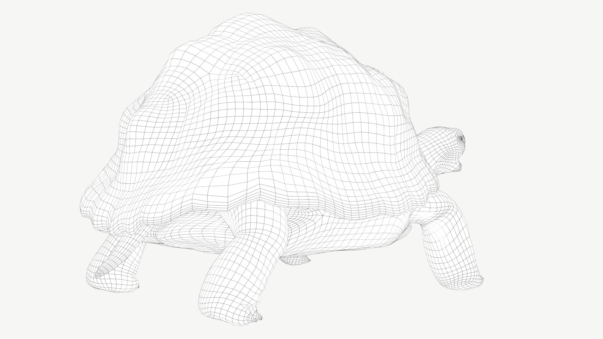 radiated tortoise obj https://p.turbosquid.com/ts-thumb/B1/yeVWfa/4h/3a/png/1728452674/1920x1080/fit_q87/70c84a7e0aaaa3787d6f67e0e8c6bb64843553ec/3a.jpg