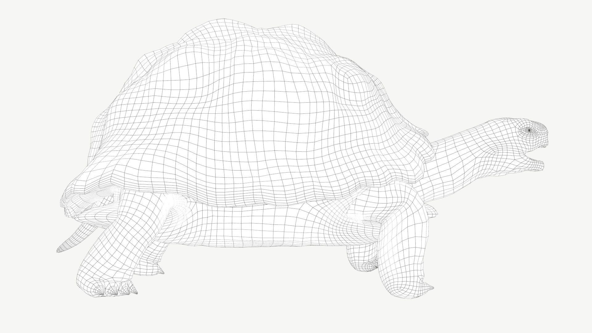 radiated tortoise obj https://p.turbosquid.com/ts-thumb/B1/yeVWfa/50/2a/png/1728452674/1920x1080/fit_q87/bd734ecef9e1f83734f4f6bbc9b5bd3136e098e5/2a.jpg