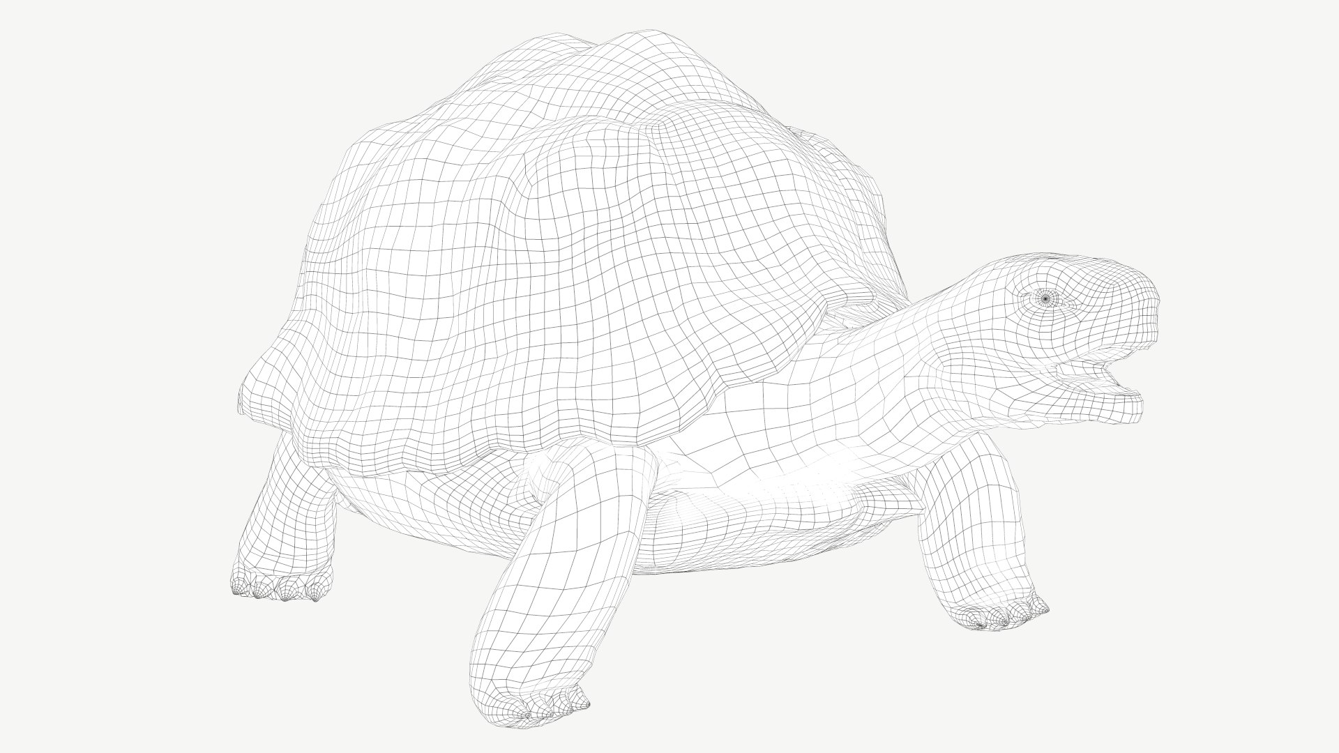 radiated tortoise obj https://p.turbosquid.com/ts-thumb/B1/yeVWfa/MH/1a/png/1728452673/1920x1080/fit_q87/b87e2fd2dbe0c2248be2d6efbd0231d9c69ce6bf/1a.jpg