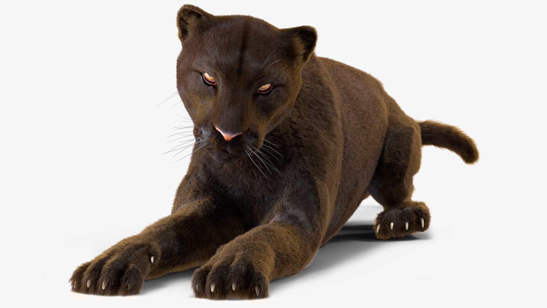 Black Panther Lying Down Fur 3D model preview
