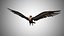 Low Poly Rigged Vulture Condor