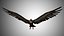 Low Poly Rigged Vulture Condor