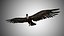 Low Poly Rigged Vulture Condor