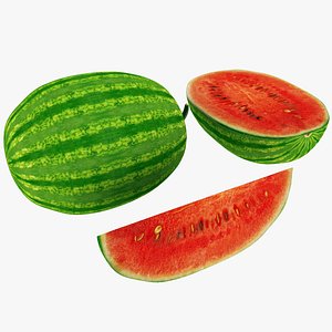 max watermelon half slice