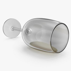 3D realistic white wine glass