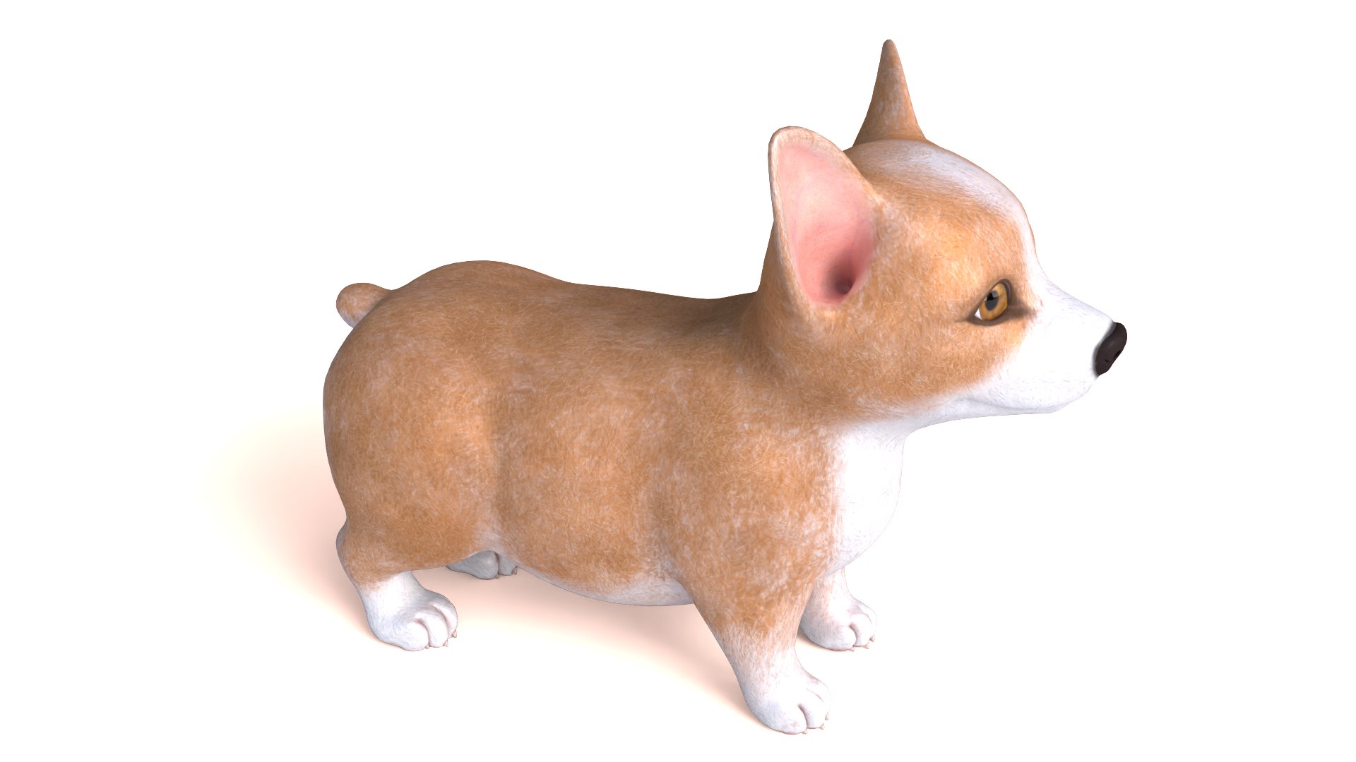 Corgi dog model https://p.turbosquid.com/ts-thumb/B2/L5cyaJ/3g/dog04/png/1712654844/1920x1080/fit_q87/c861d96aa4143e7be13fe0a13038de246ad4943c/dog04.jpg