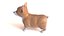 Corgi dog