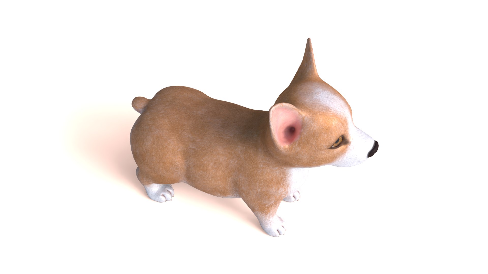 Corgi dog model https://p.turbosquid.com/ts-thumb/B2/L5cyaJ/LZ/dog12/png/1712654767/1920x1080/fit_q87/e8b3cadfada96602e4ff33fa800ef8207a04a166/dog12.jpg