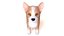 Corgi dog