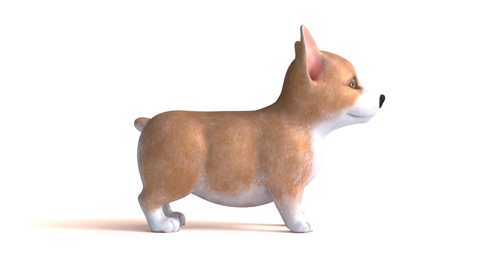 Corgi dog model https://p.turbosquid.com/ts-thumb/B2/L5cyaJ/Rh/dog13/png/1712654767/1920x1080/fit_q87/3b7af6eed37fd20a575598072447b70b4db31113/dog13.jpg