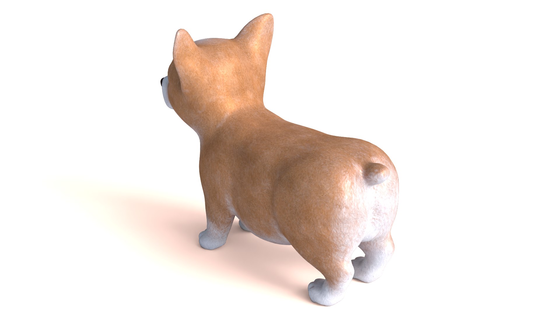 Corgi dog model https://p.turbosquid.com/ts-thumb/B2/L5cyaJ/Xg/dog08/png/1712654767/1920x1080/fit_q87/f827d7603203d9ae60b094ef24e151b5e4209471/dog08.jpg