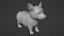Corgi dog
