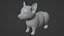 Corgi dog