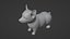Corgi dog