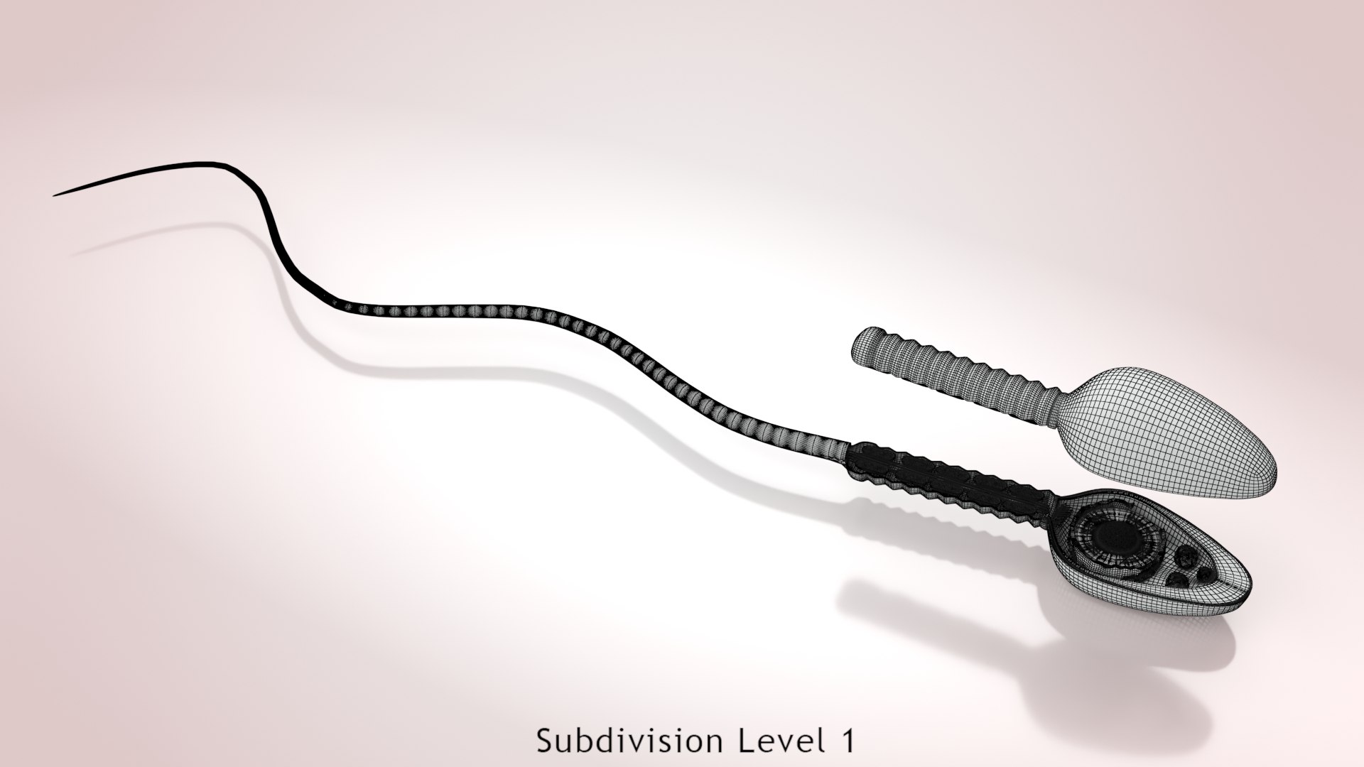 Animated Sperm Cell model https://p.turbosquid.com/ts-thumb/B2/LZi1Oh/7u/ww00003/jpg/1666169549/1920x1080/fit_q87/471b4bcfd94a8d21d55045ce93d506680f5bb009/ww00003.jpg