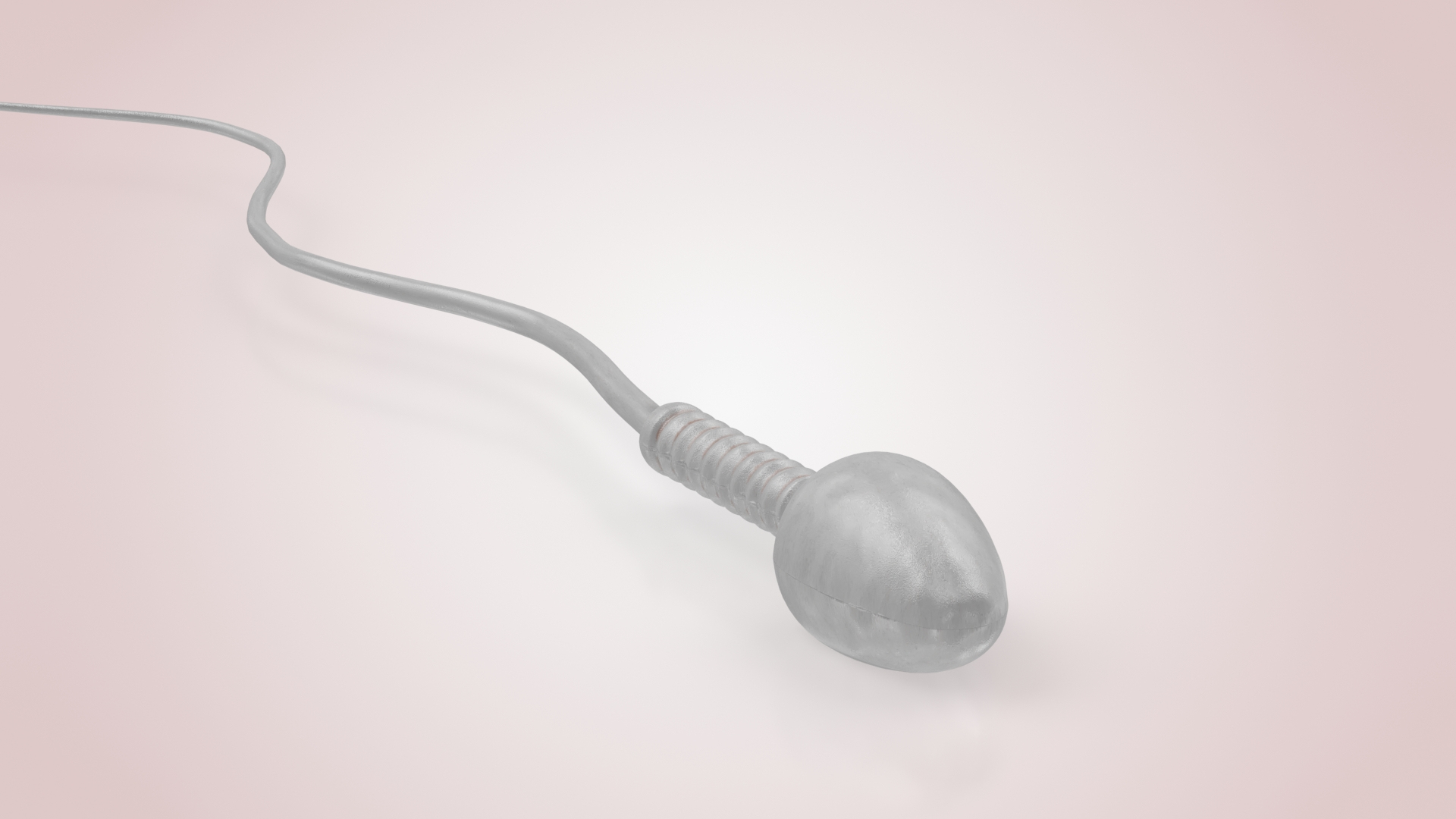 Animated Sperm Cell model https://p.turbosquid.com/ts-thumb/B2/LZi1Oh/8X/turnsperm/jpg/1666149912/1920x1080/turn_fit_q99/c04f3af31e5fd499800e46a12cb28e65d79da160/turnsperm-1.jpg