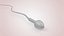 Animated Sperm Cell model