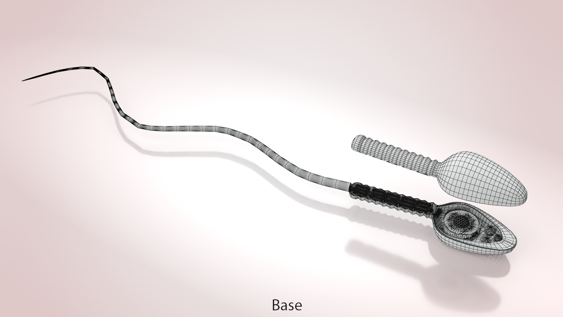 Animated Sperm Cell model https://p.turbosquid.com/ts-thumb/B2/LZi1Oh/Dt/ww00003copy/jpg/1666169544/1920x1080/fit_q87/a886a531b254b9bdaaff318c1577e2619baab9b6/ww00003copy.jpg