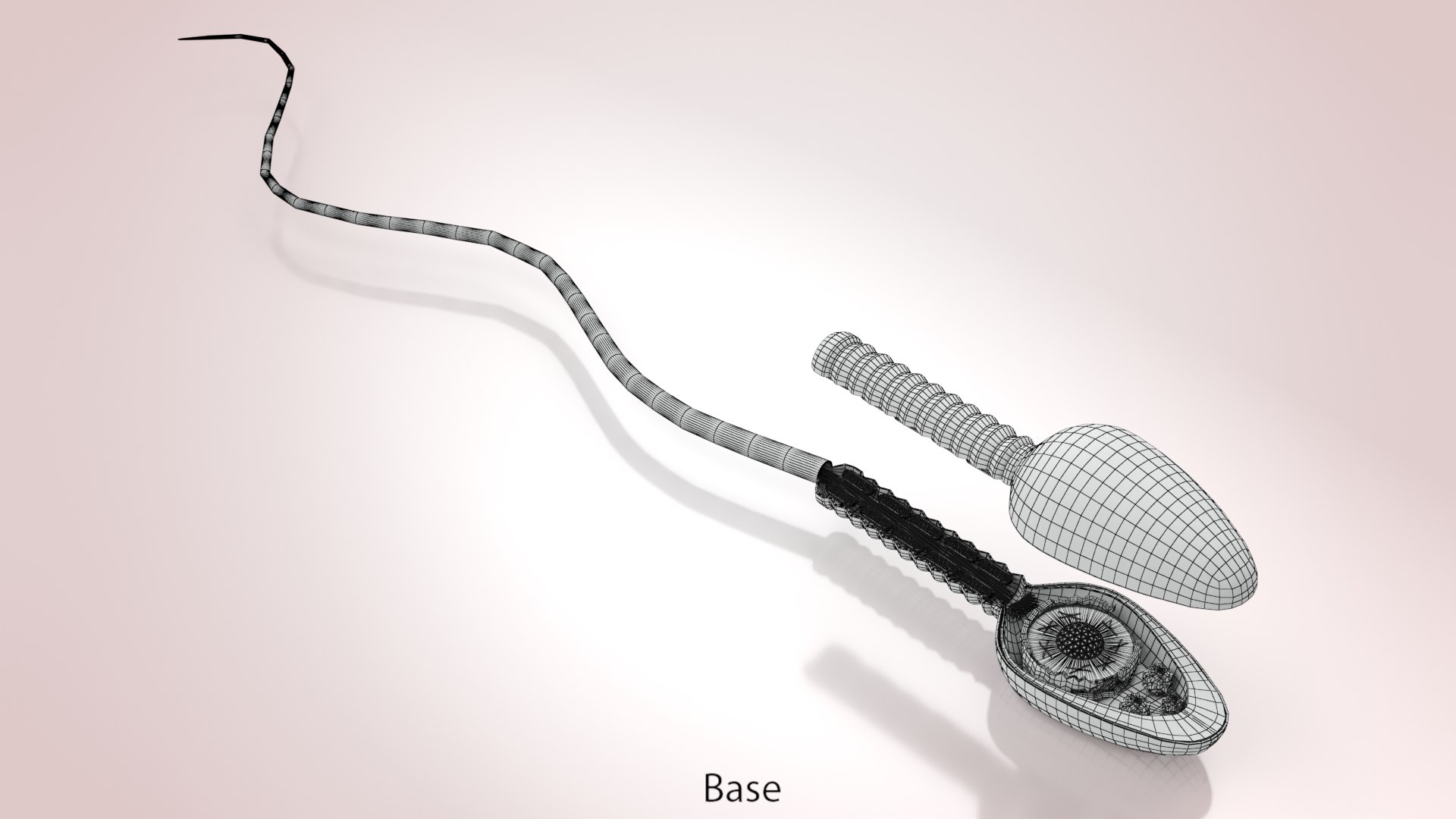 Animated Sperm Cell model https://p.turbosquid.com/ts-thumb/B2/LZi1Oh/EN/ww00007copy/jpg/1666169582/1920x1080/fit_q87/5fd80893ff99085bff745603fb9d28bece3373cf/ww00007copy.jpg