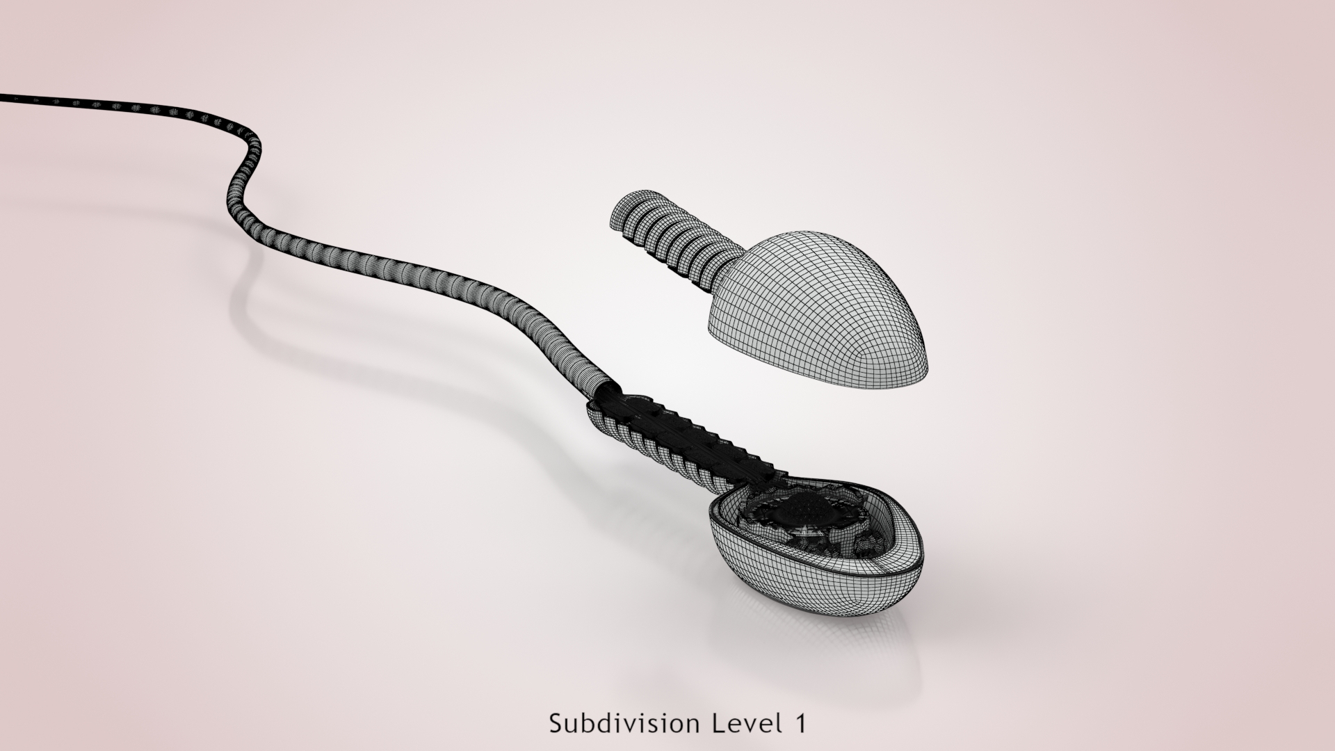 Animated Sperm Cell model https://p.turbosquid.com/ts-thumb/B2/LZi1Oh/G0/wone/jpg/1666168761/1920x1080/turn_fit_q99/20c54dfb93182c7cca141b8487d8138a01e59963/wone-1.jpg