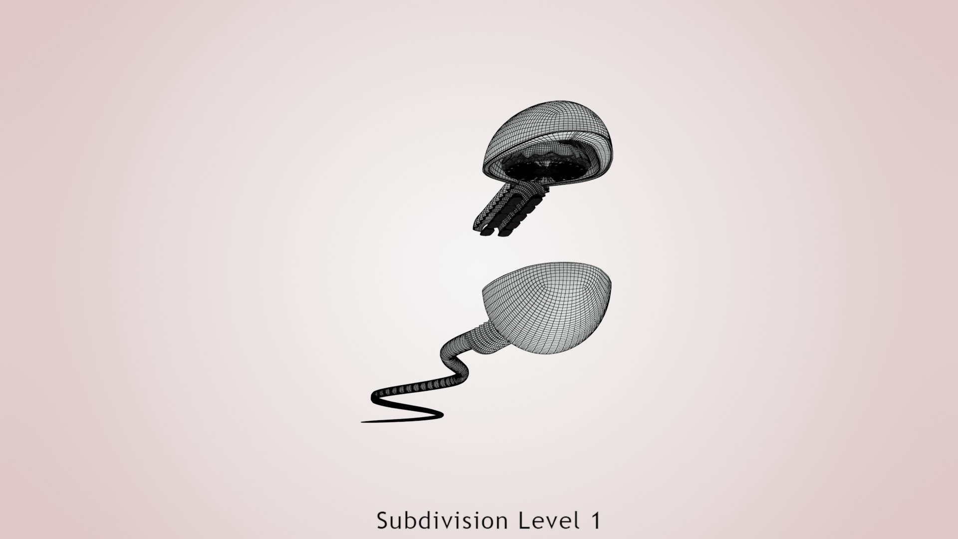 Animated Sperm Cell model https://p.turbosquid.com/ts-thumb/B2/LZi1Oh/MG/ww00004/jpg/1666169550/1920x1080/fit_q87/f00893e254db496d7bf9b78d27a0342745e92e87/ww00004.jpg