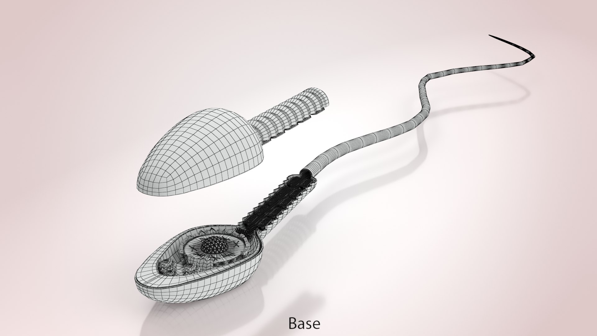 Animated Sperm Cell model https://p.turbosquid.com/ts-thumb/B2/LZi1Oh/P1/ww00002copy/jpg/1666169534/1920x1080/fit_q87/805d439246abc475566f6390cee698d768108c54/ww00002copy.jpg