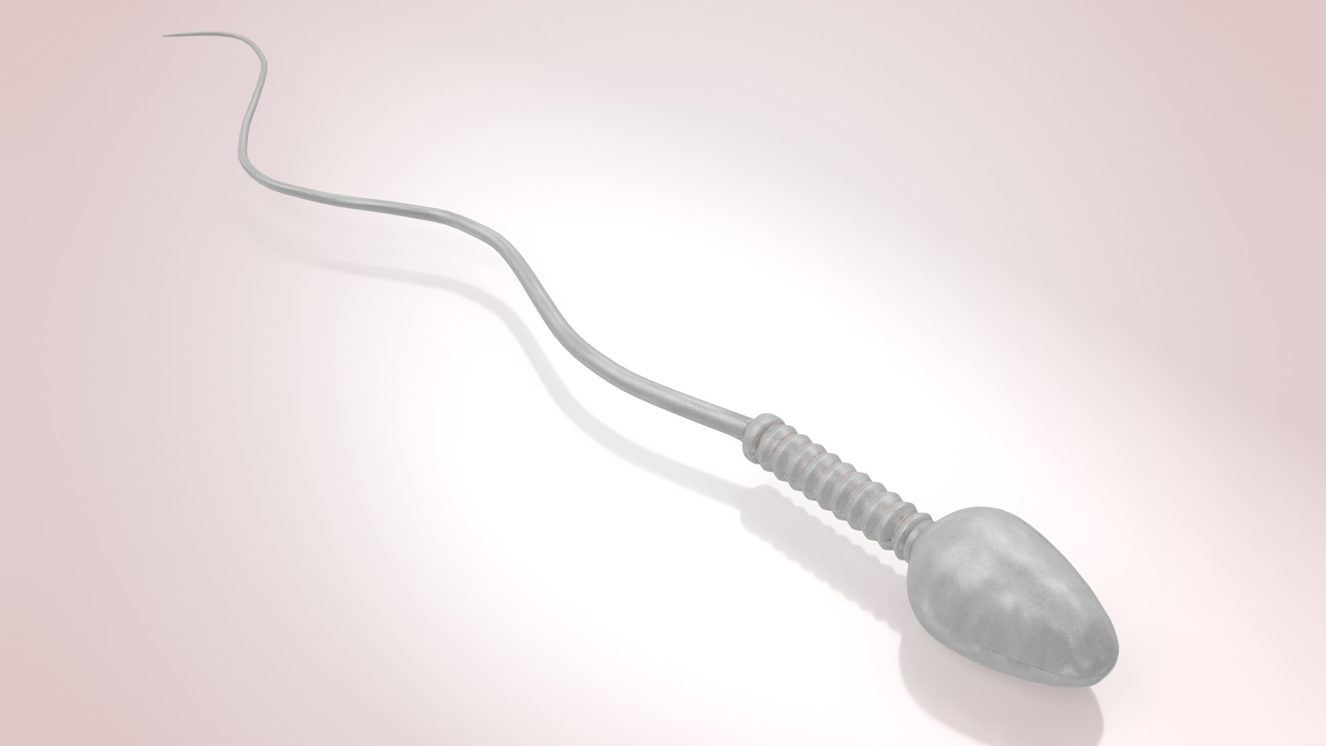 Animated Sperm Cell model https://p.turbosquid.com/ts-thumb/B2/LZi1Oh/Rn/b0007/jpg/1666169458/1920x1080/fit_q87/dfd5bf6379491a21c5c509ca0c9640b465cf6eaa/b0007.jpg