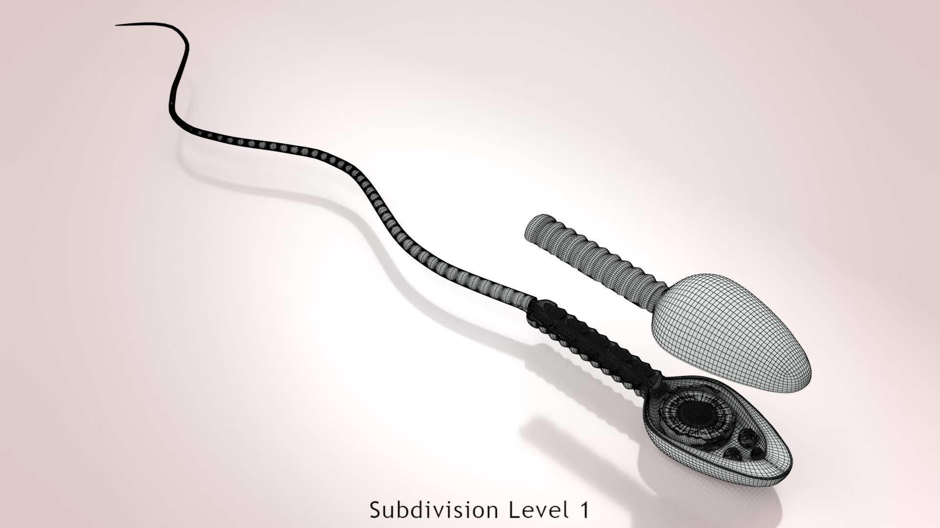Animated Sperm Cell model https://p.turbosquid.com/ts-thumb/B2/LZi1Oh/rE/ww00007/jpg/1666169587/1920x1080/fit_q87/d9caee18ae201fc22b5b07abb9a07ed198077d2f/ww00007.jpg