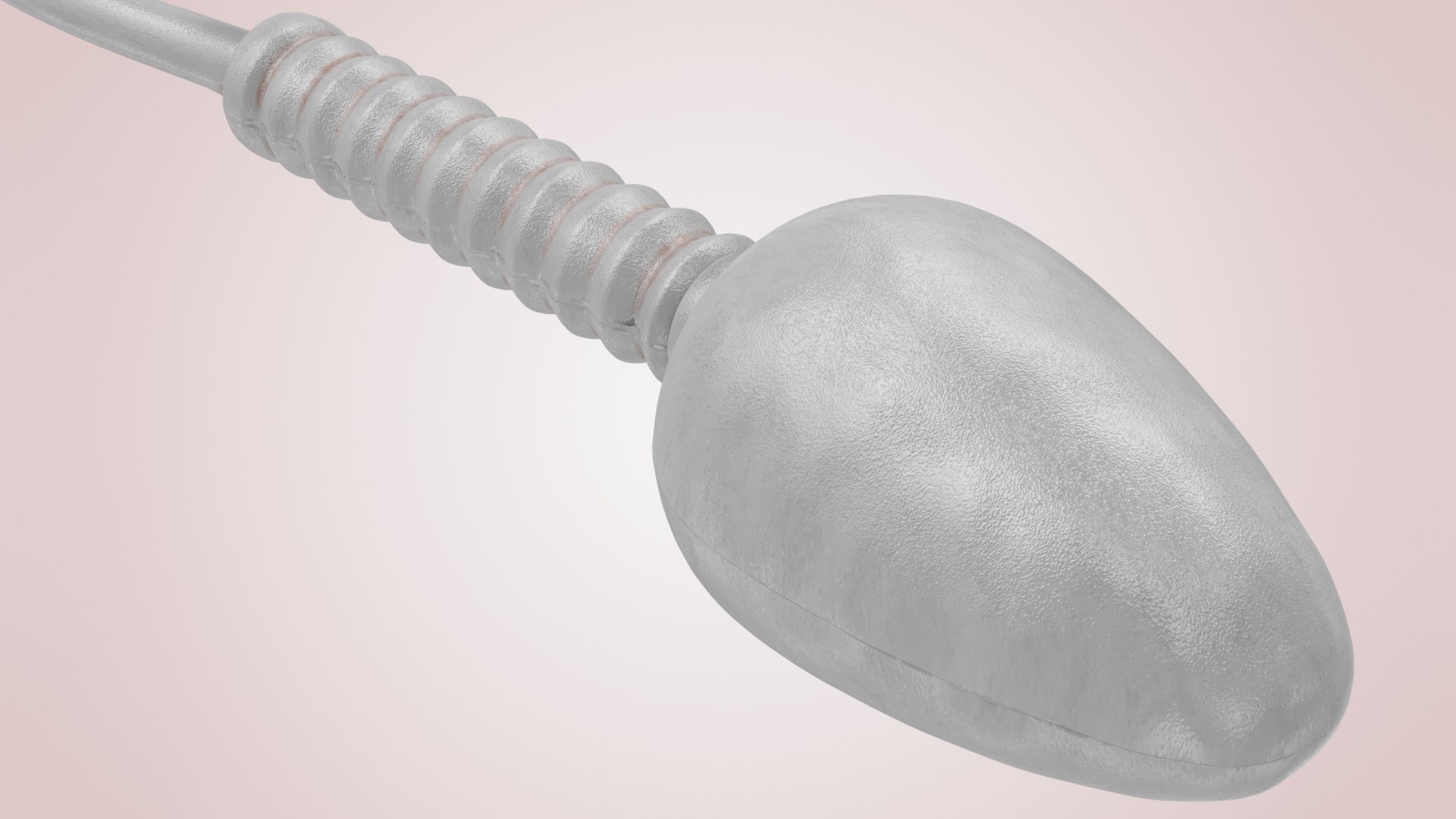 Animated Sperm Cell model https://p.turbosquid.com/ts-thumb/B2/LZi1Oh/tH/b0005/jpg/1666169431/1920x1080/fit_q87/fa01b4f1e9649fe77756ac7b91bb5bb8f5949a97/b0005.jpg