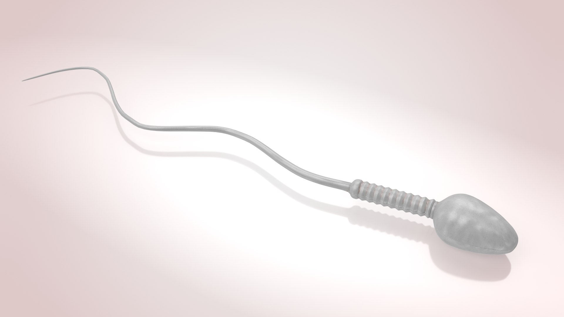 Animated Sperm Cell model https://p.turbosquid.com/ts-thumb/B2/LZi1Oh/vQ/b0003/jpg/1666169419/1920x1080/fit_q87/2d41c70c9e36e0ae864bfef81e30c1b4e5e98115/b0003.jpg