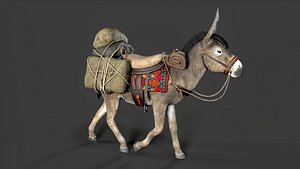 donkey Animals model