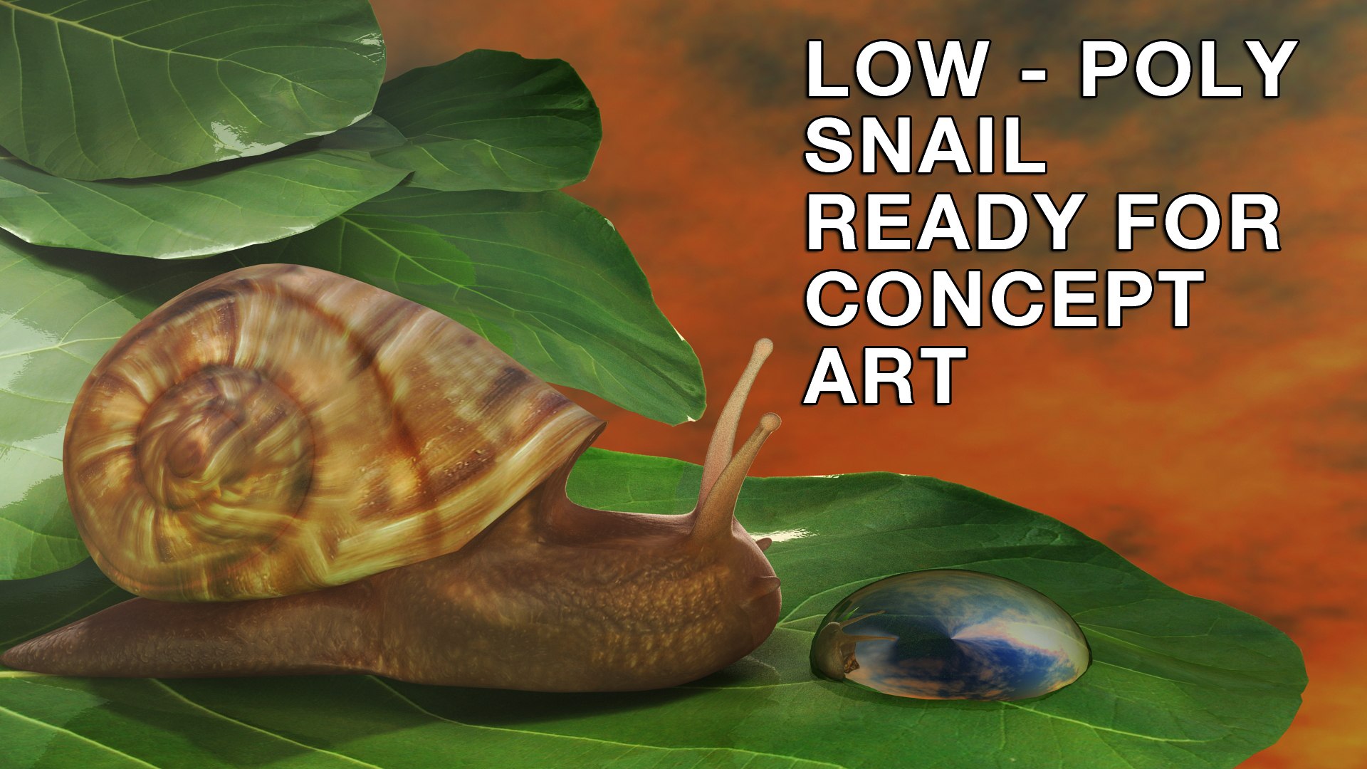 Snail Gaming Filming 3d 3ds