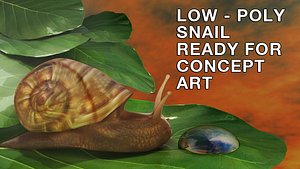 snail gaming filming 3d 3ds