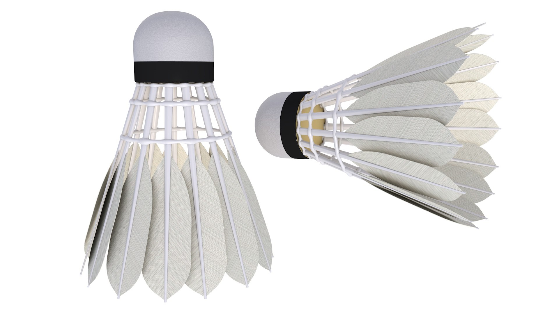 Shuttlecock 3d Model - Turbosquid 1767015