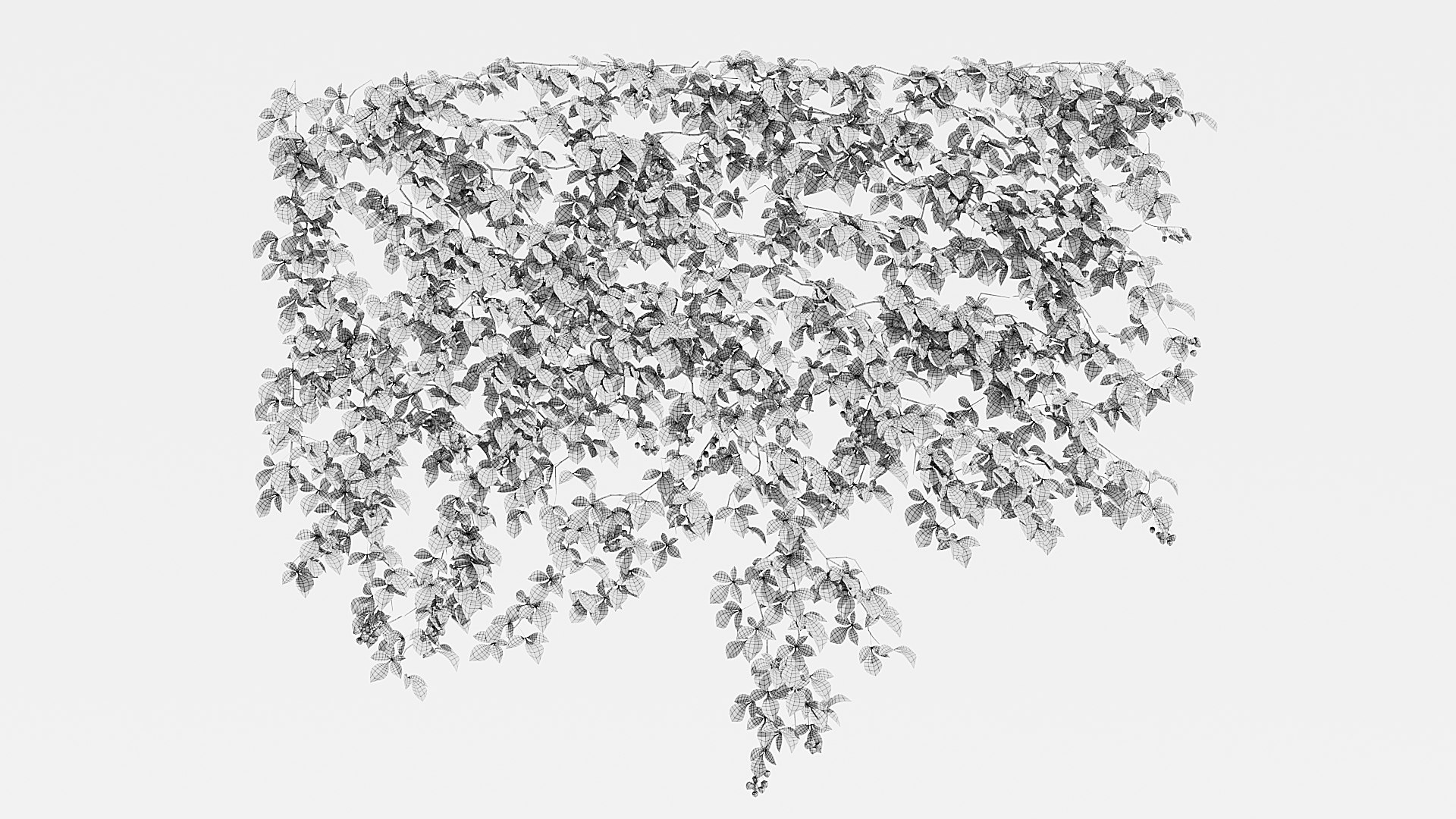 3D IVY PLANT https://p.turbosquid.com/ts-thumb/B2/h5kRSf/1p/7/jpg/1786359183/1920x1080/fit_q87/4819932719f1bbe662c354a059578d9329fbc93b/7.jpg