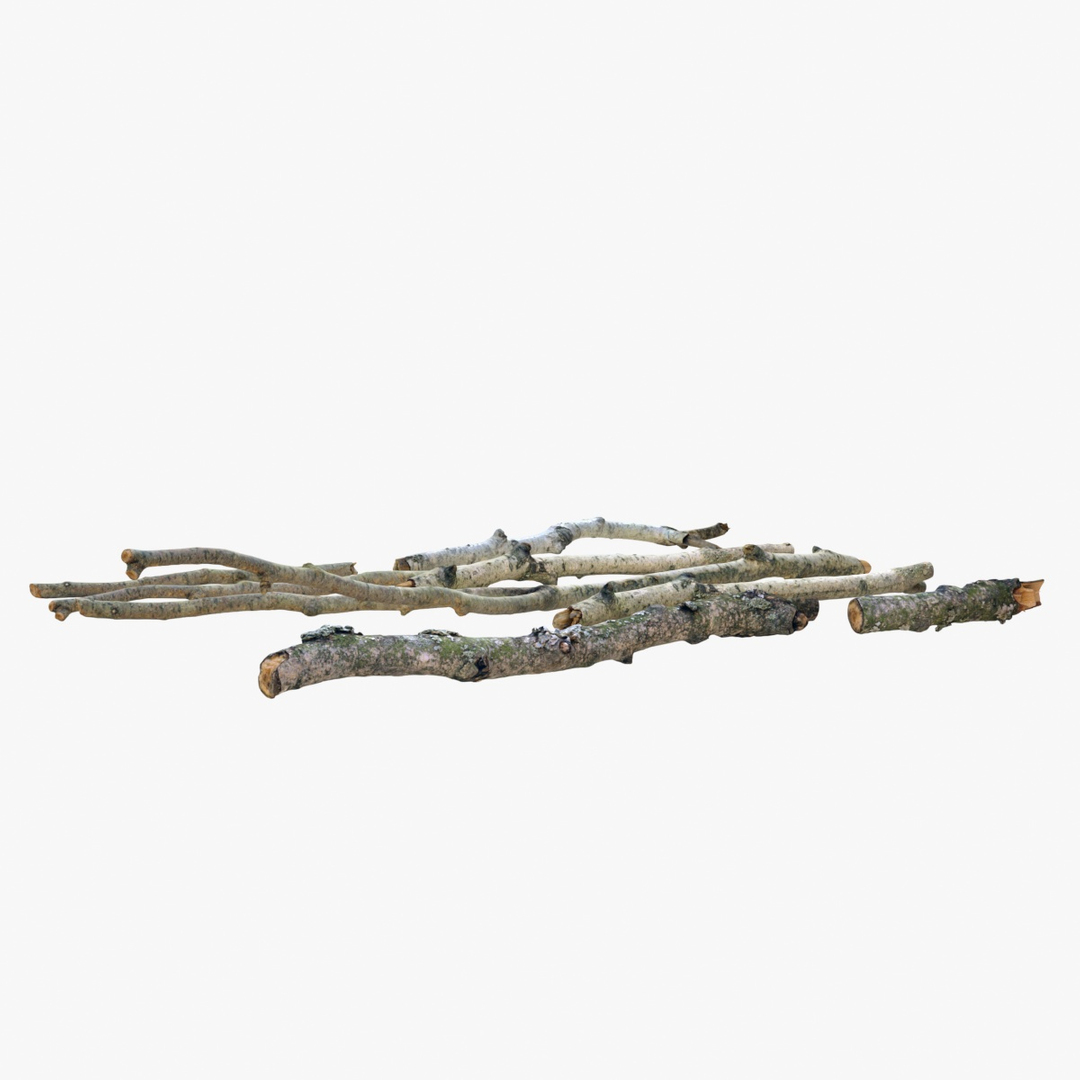 3D realistic branches set 01 - TurboSquid 1220357