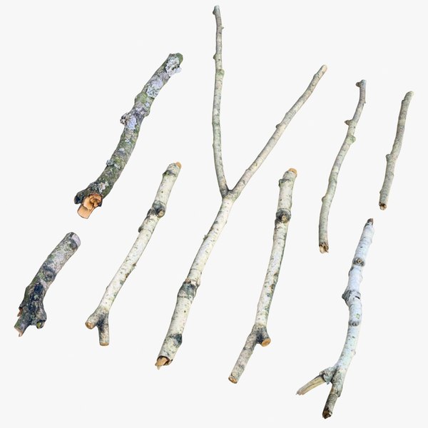 3D realistic branches set 01