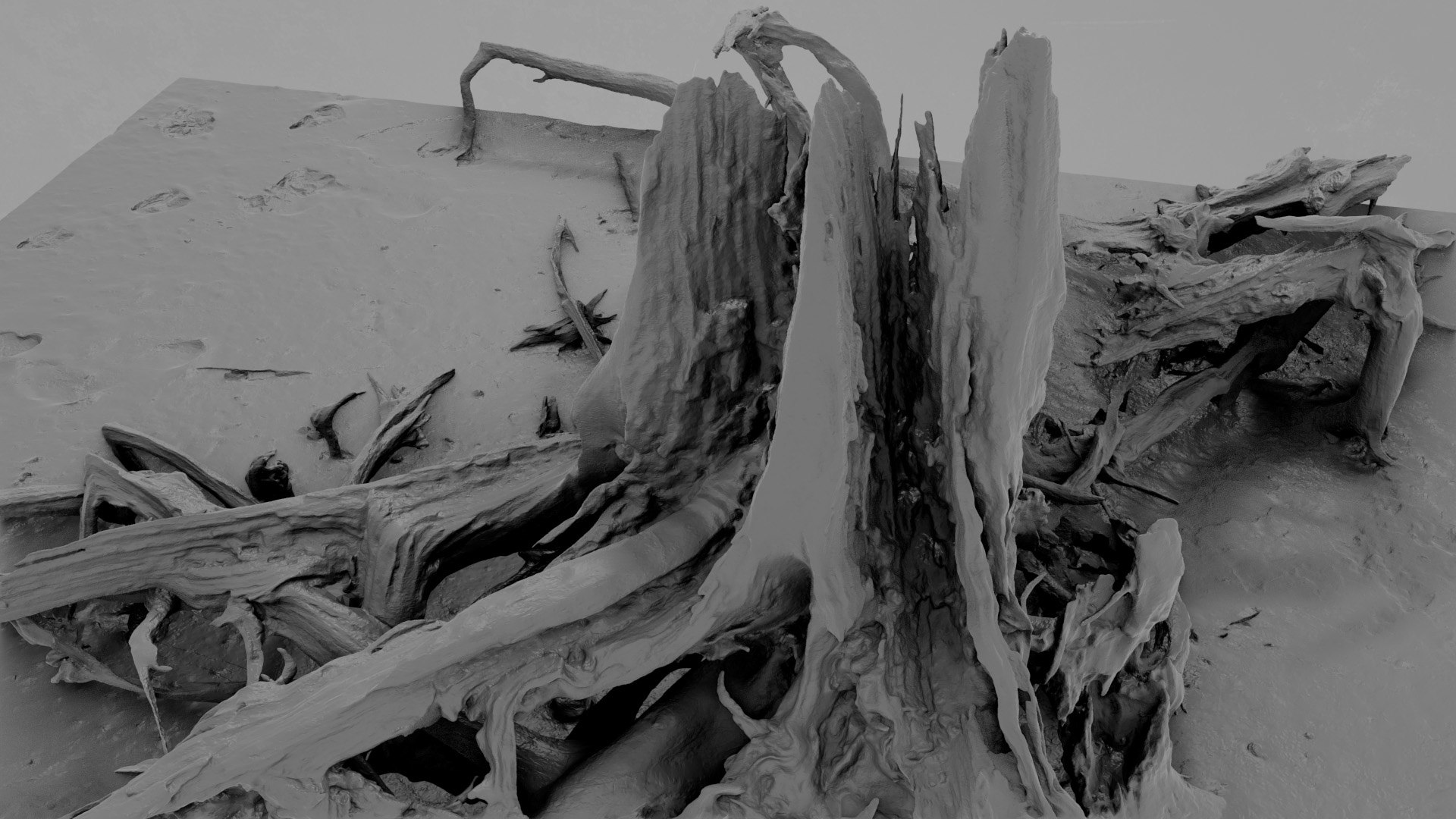 Dead Tree 004 3D - TurboSquid 2324903